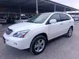 Lexus RX series, 2009-2