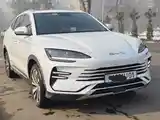 BYD Song Plus Flagship, 2024-2