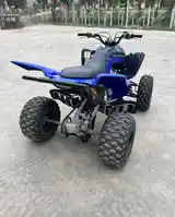 Квадроцикл Yamaha Raptor 700R-6