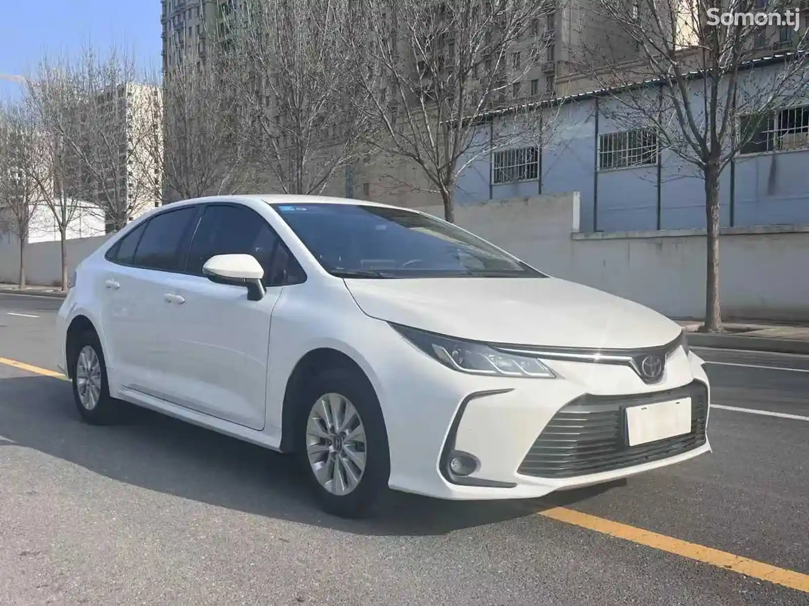 Toyota Corolla, 2021-3