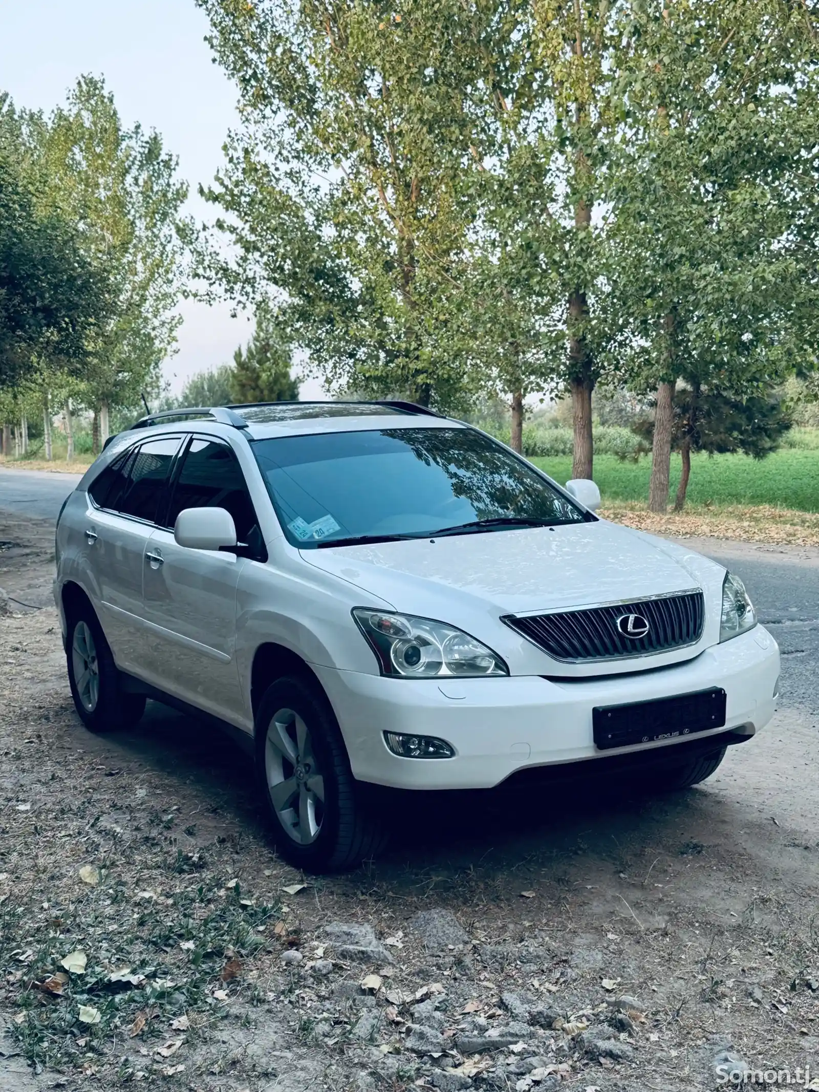 Lexus RX series, 2008-11