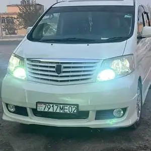 Toyota Alphard, 2006