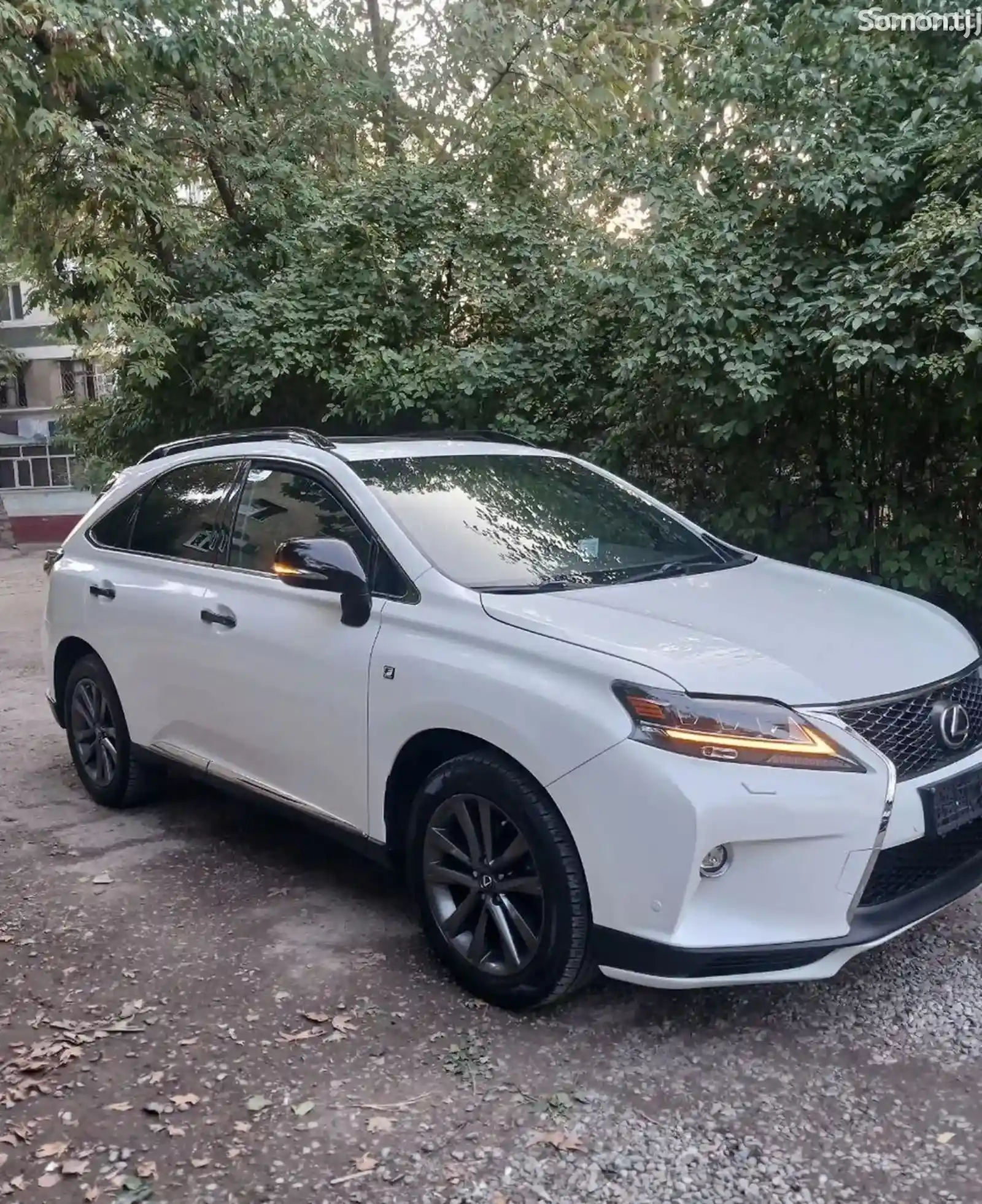 Защитник на Lexus rx 2010-2015-2