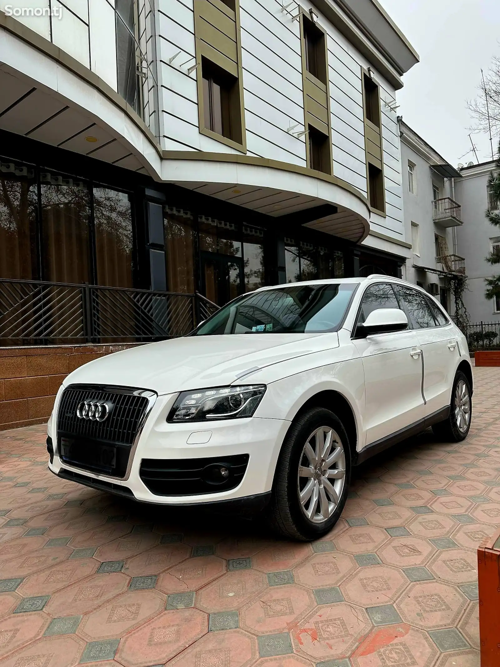 Audi Q5, 2010-1