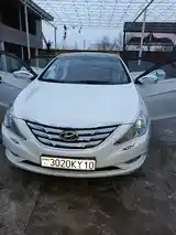 Hyundai Sonata, 2010-7