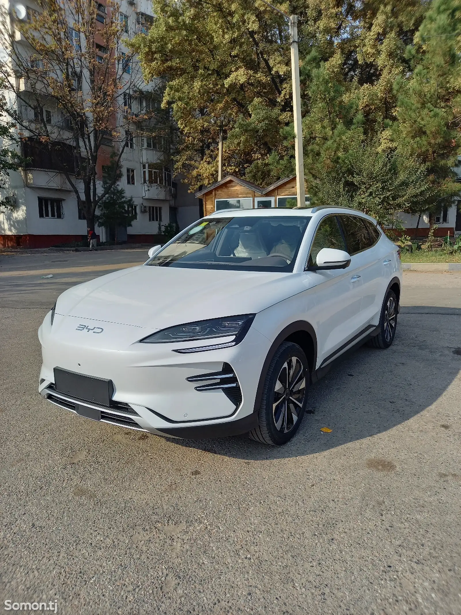 BYD Song Plus Flagship, 2024-1