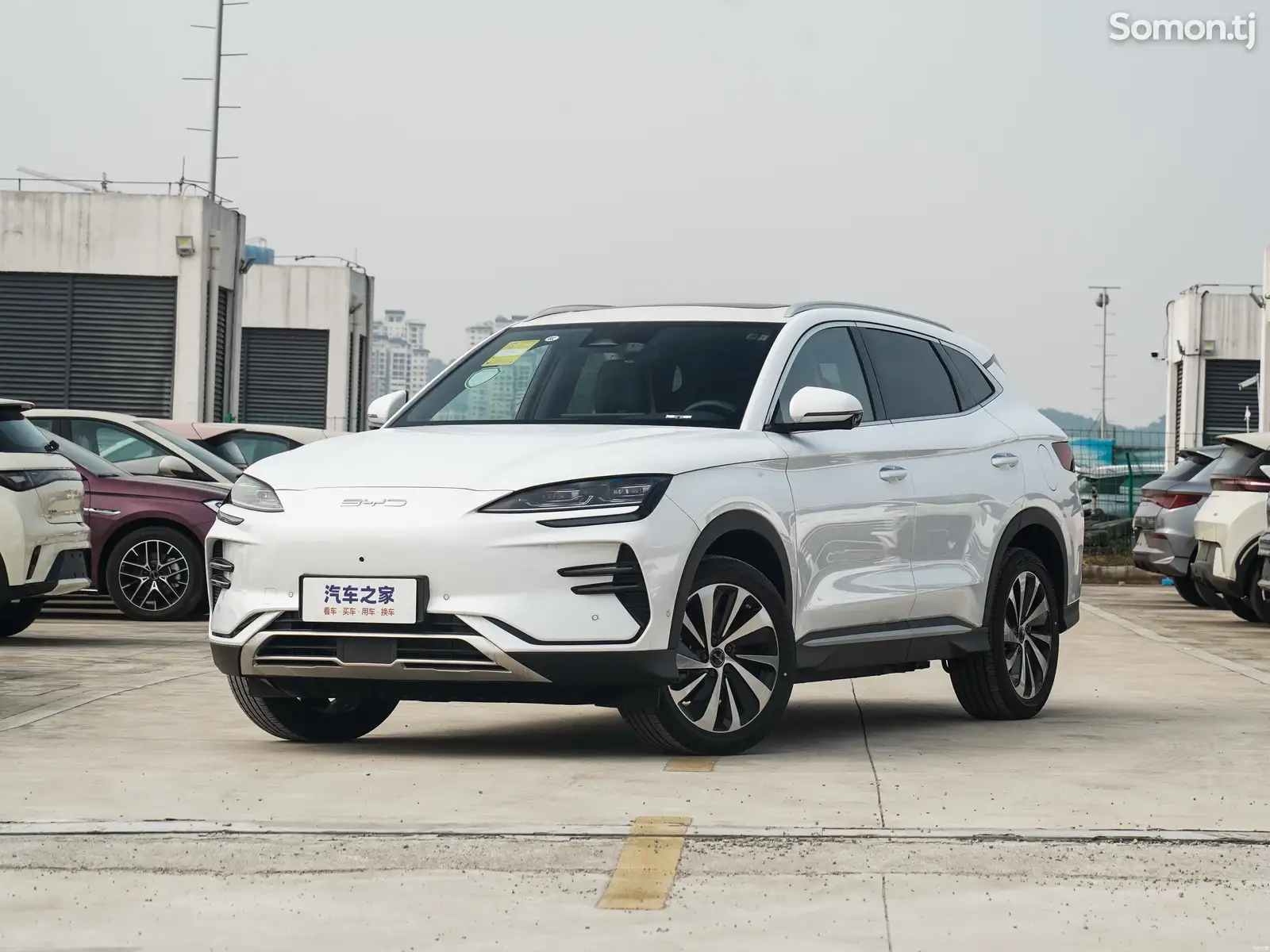 BYD Song Plus, 2025-1