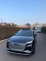 Audi Q4, 2024-6