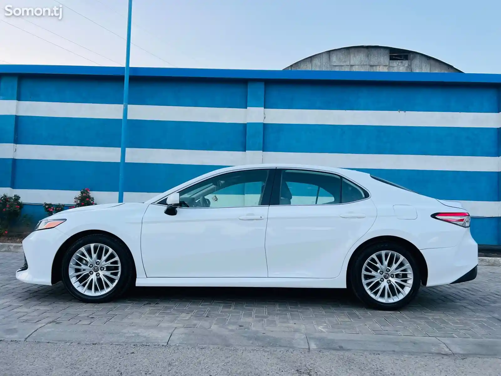 Toyota Camry, 2019-6