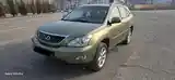 Lexus RX series, 2007-3