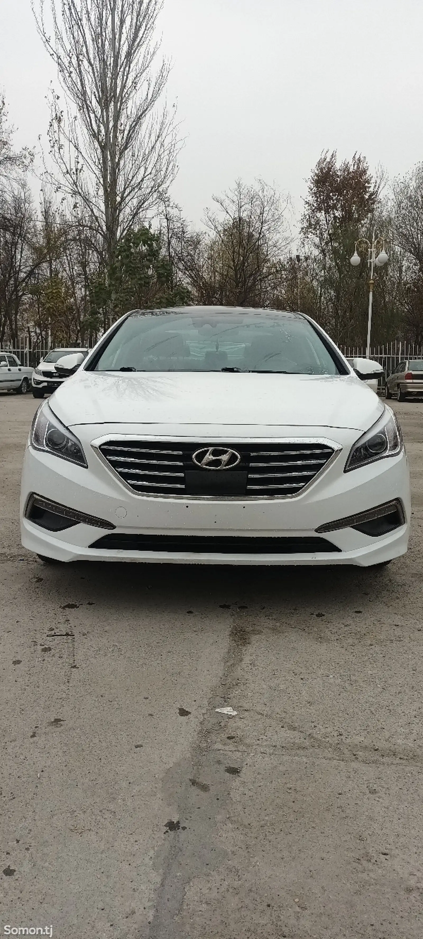 Hyundai Sonata, 2016-1