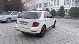 Mercedes-Benz ML class, 2010-8