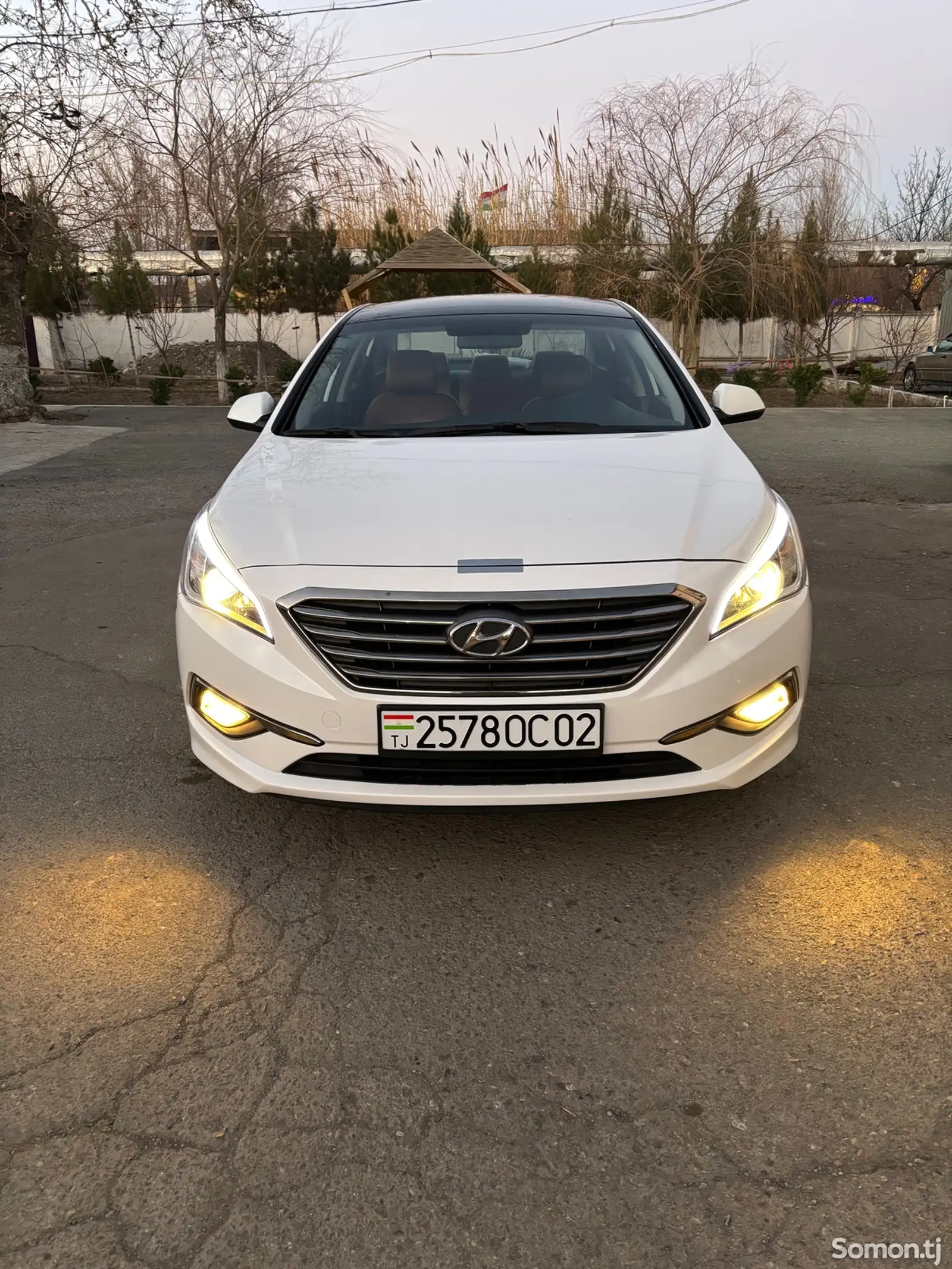 Hyundai Sonata, 2014-1