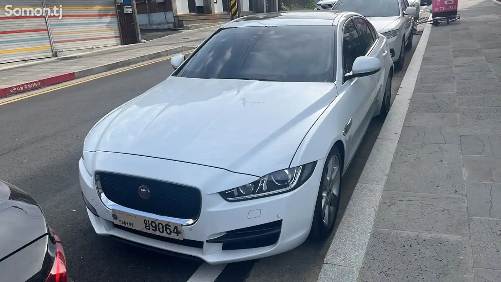 Jaguar, 2016-3