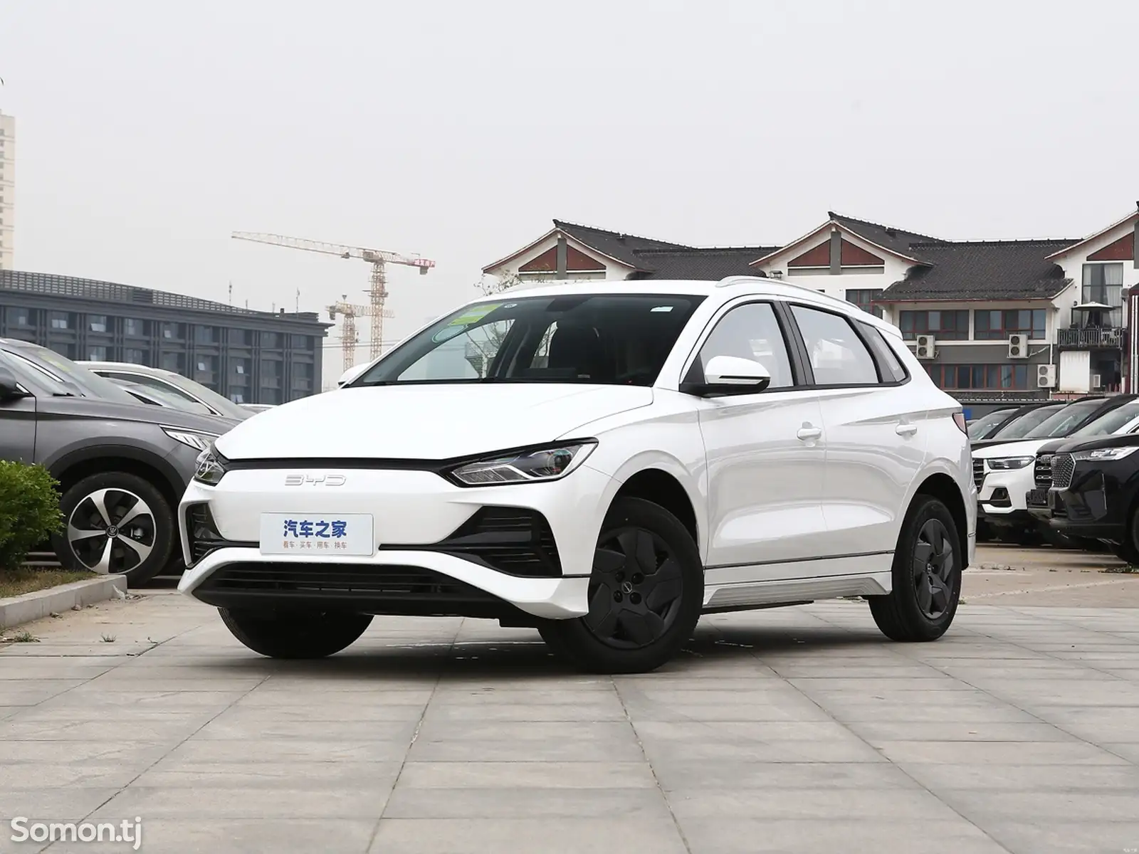 BYD E2, 2024-1