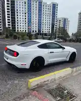 Ford Mustang, 2018-5