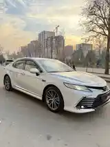 Toyota Camry, 2019-3