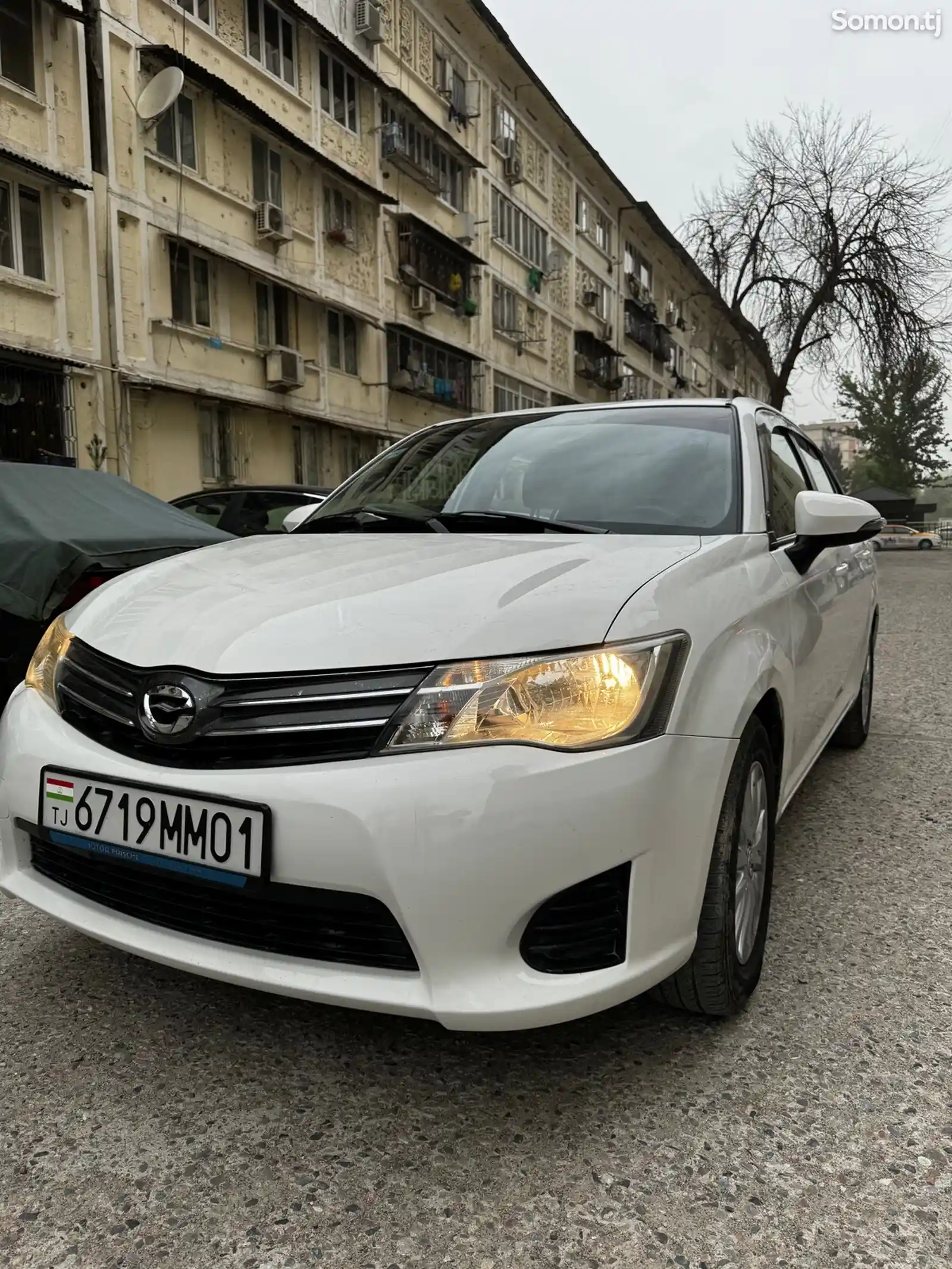 Toyota Axio, 2012-3