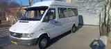 Микроавтобус Mercedes-Benz Sprinter, 1999-2