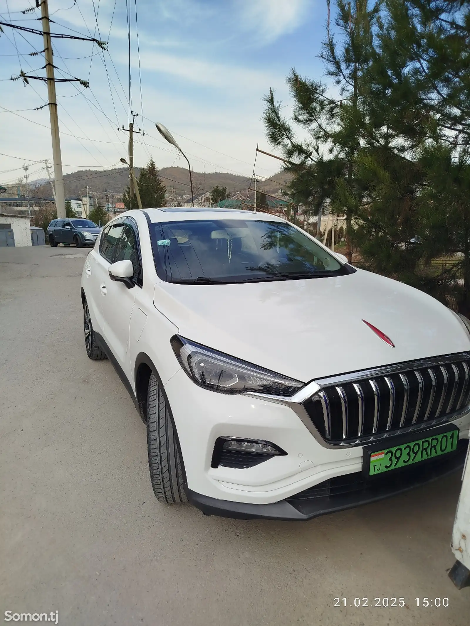 Hongqi E-HS9, 2019-1