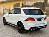 Mercedes-Benz GLE class, 2017-6