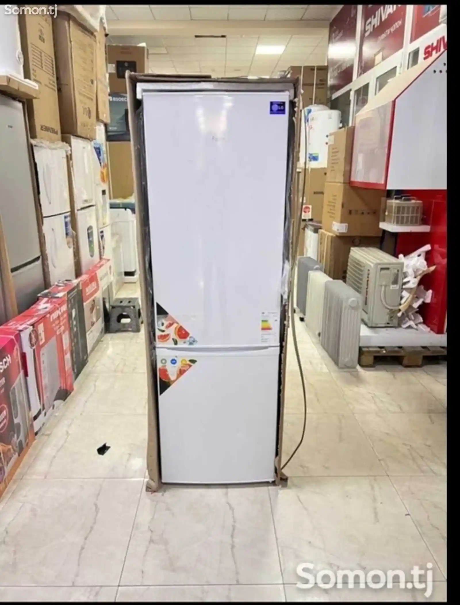 Холодилник Ferre-1