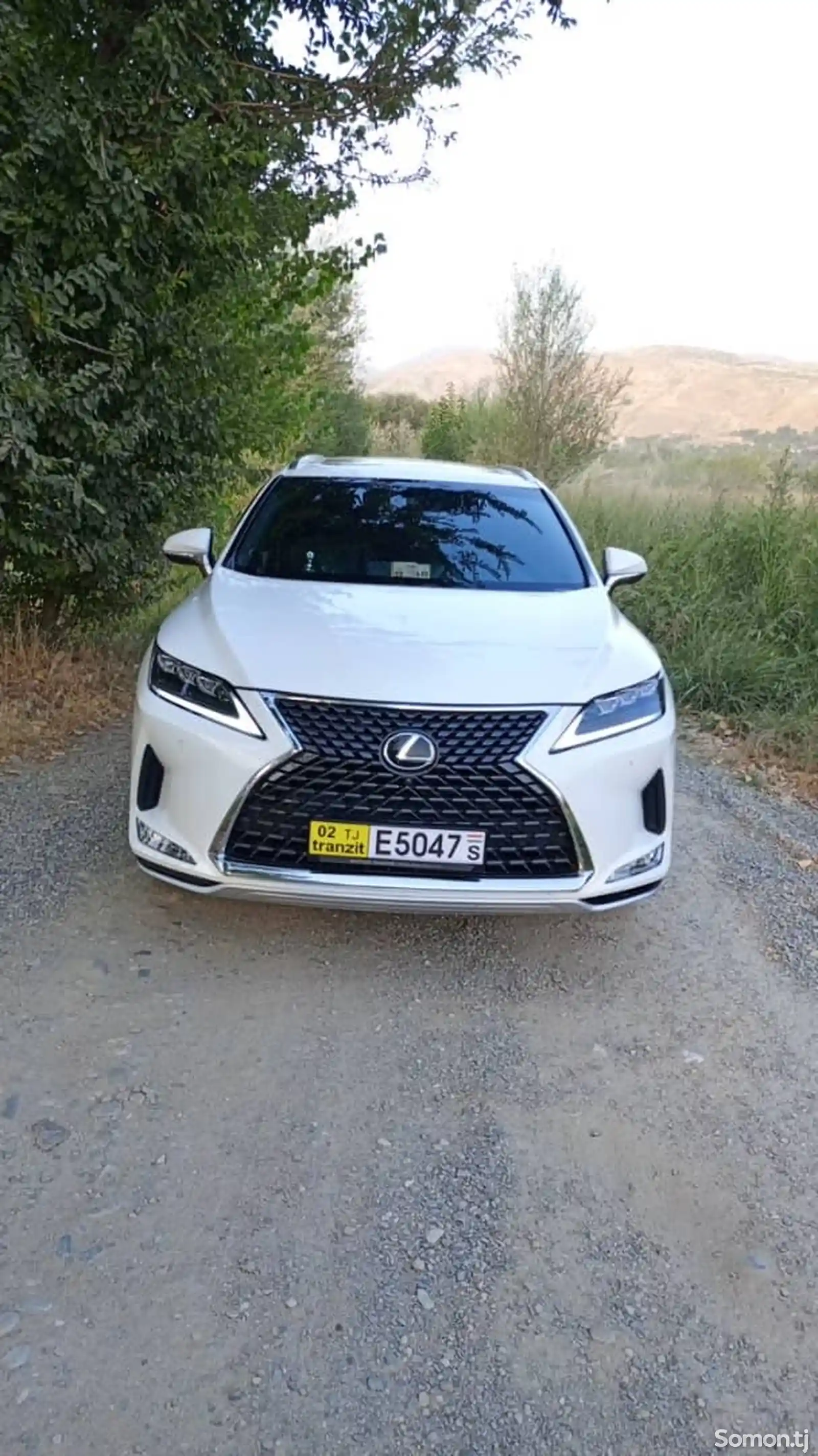 Lexus RX series, 2019-1