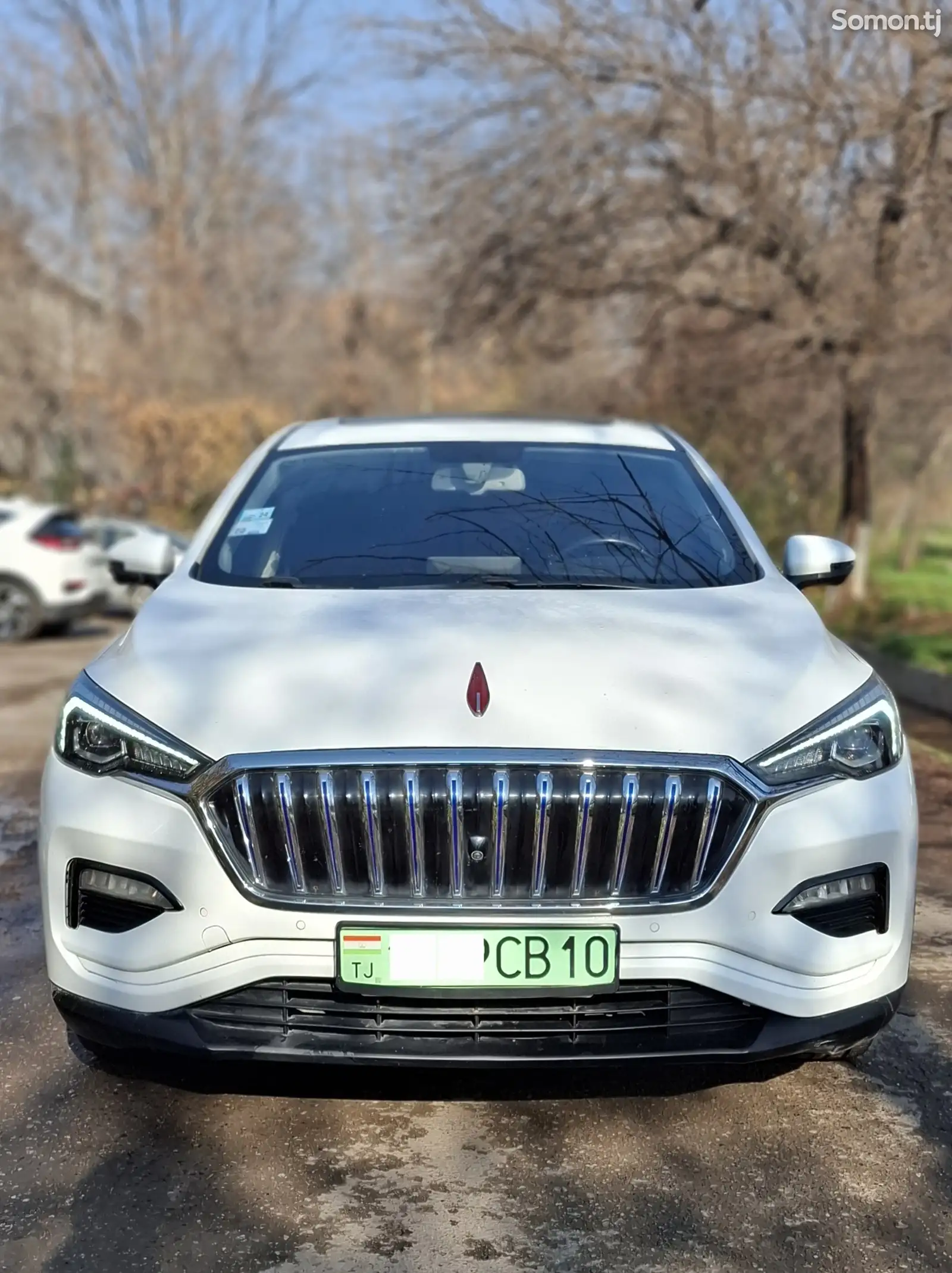 Hongqi E-HS3, 2019-1