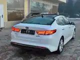 Kia Optima, 2016-6