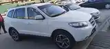 Hyundai Santa Fe, 2008-6