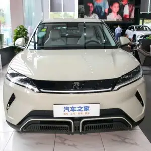 BYD Yuan Up, 2024