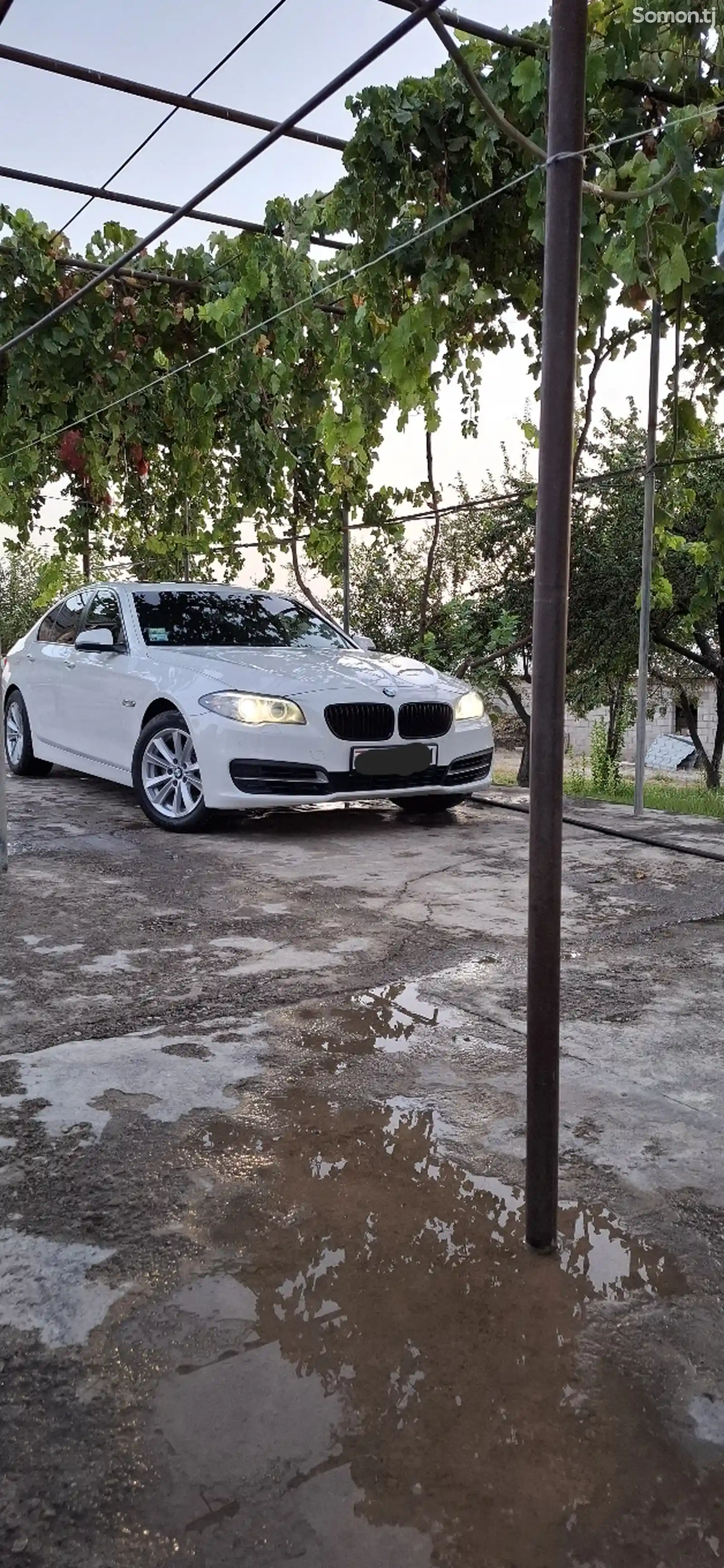 BMW 5 series, 2015-5