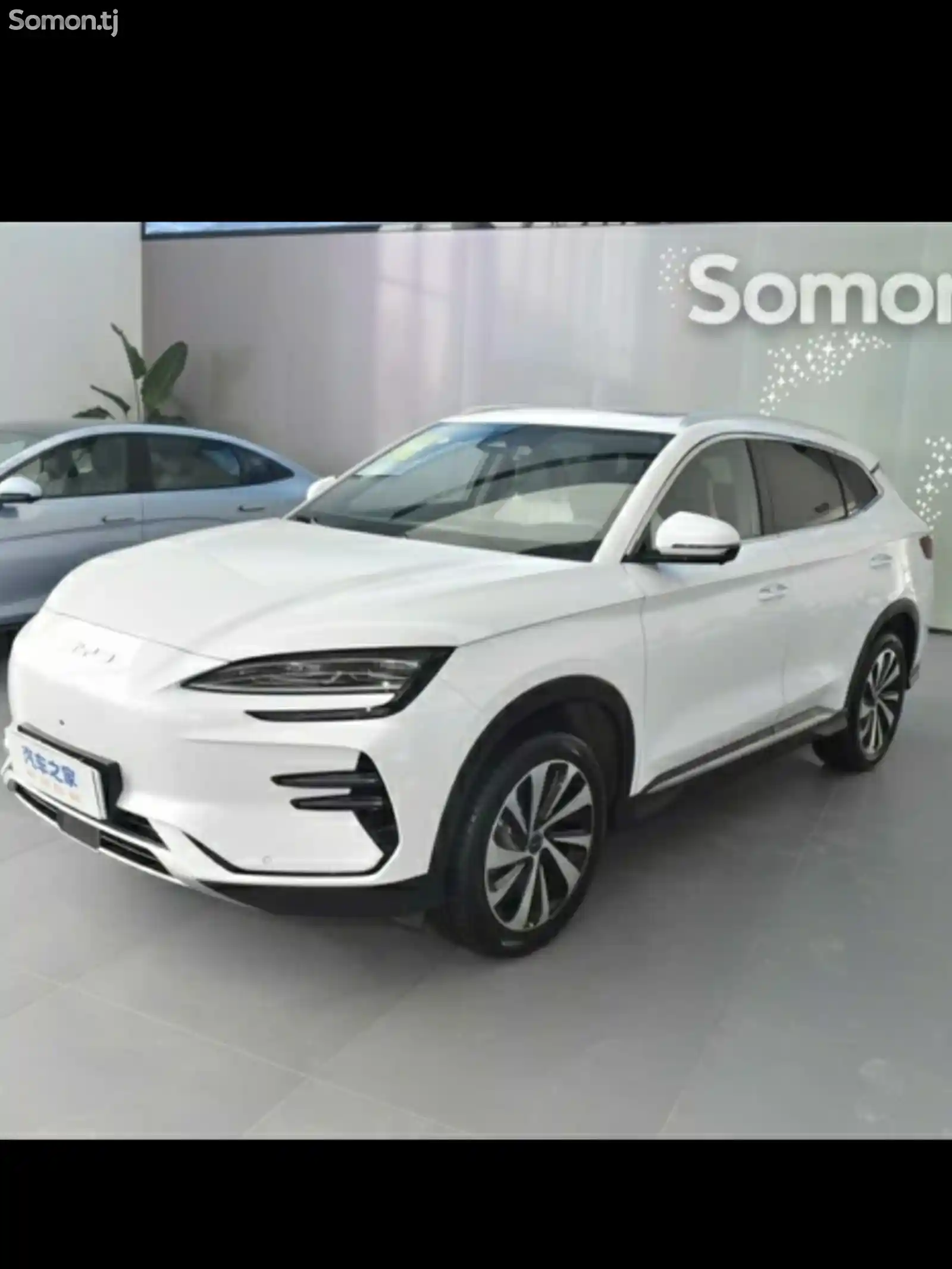 BYD Song Plus Flagship, 2024-1