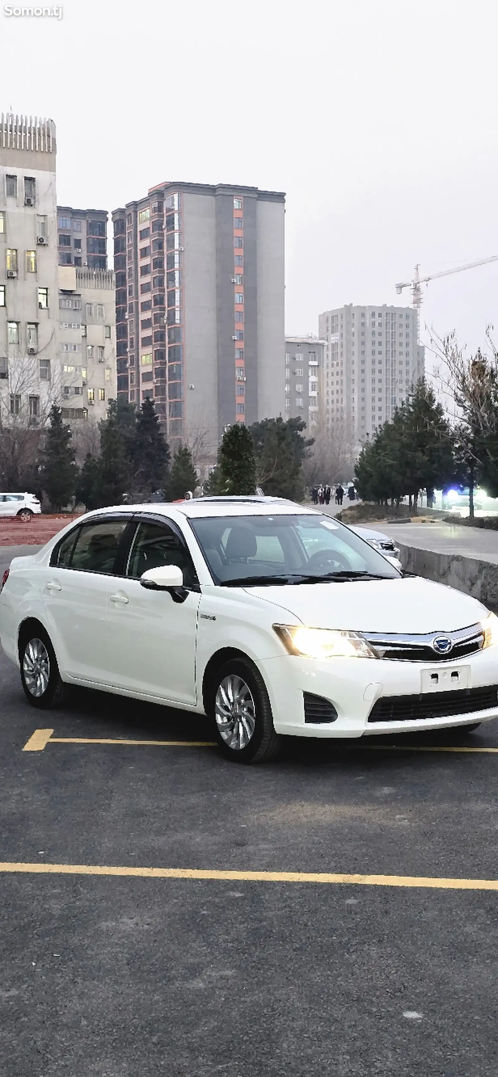 Toyota Axio, 2014-1