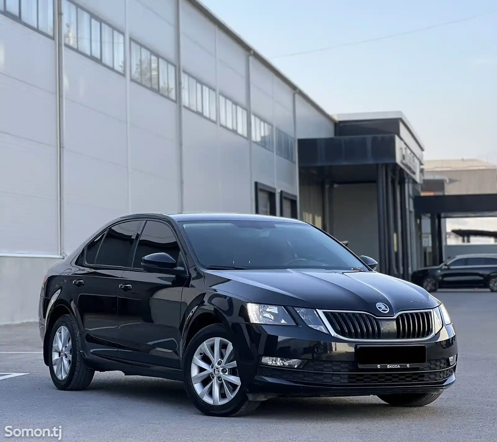 Skoda Octavia, 2019-1