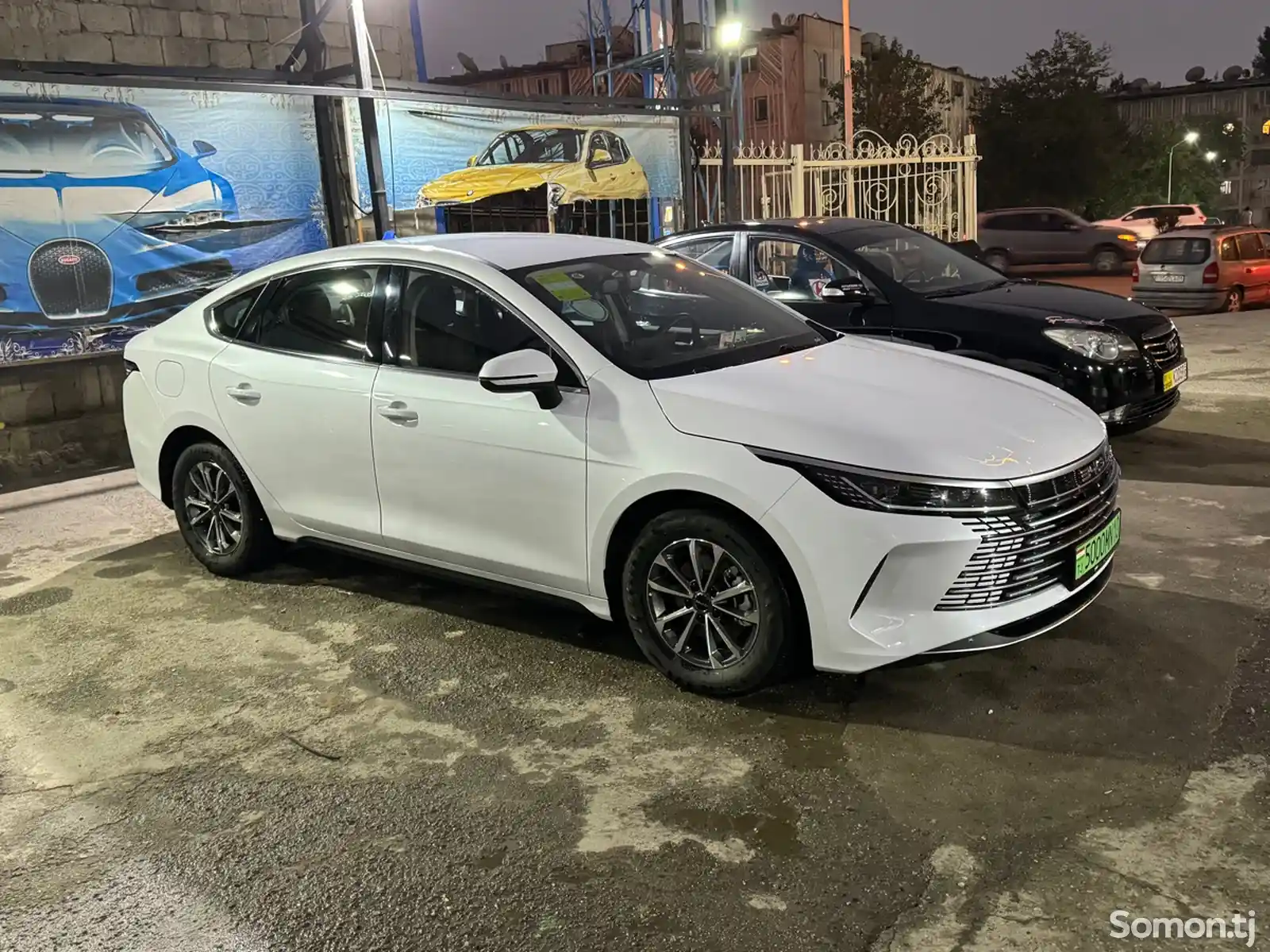 BYD Qin Plus, 2024-8