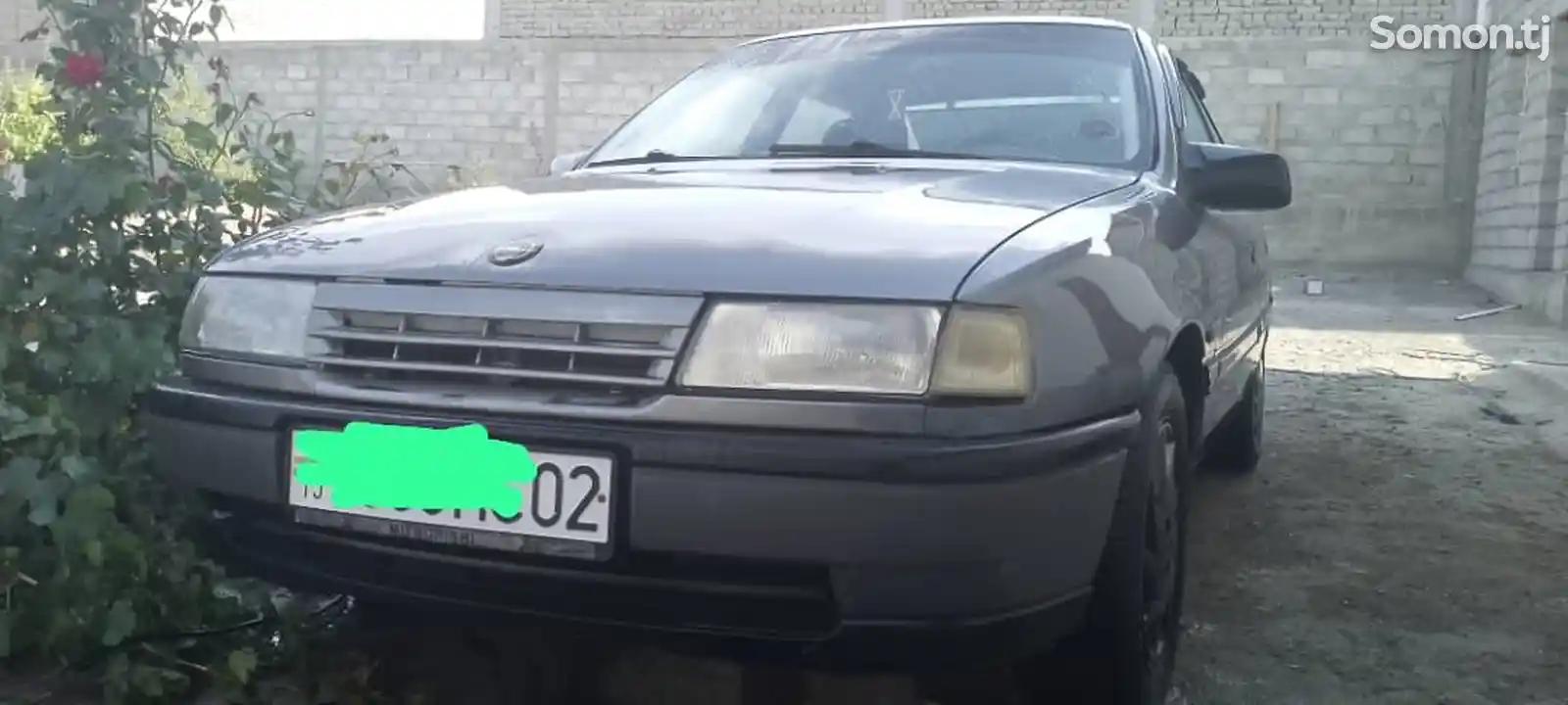 Opel Vectra B, 1991-2