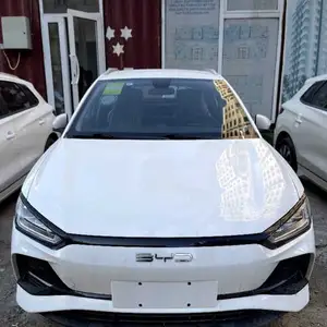 BYD E2, 2024