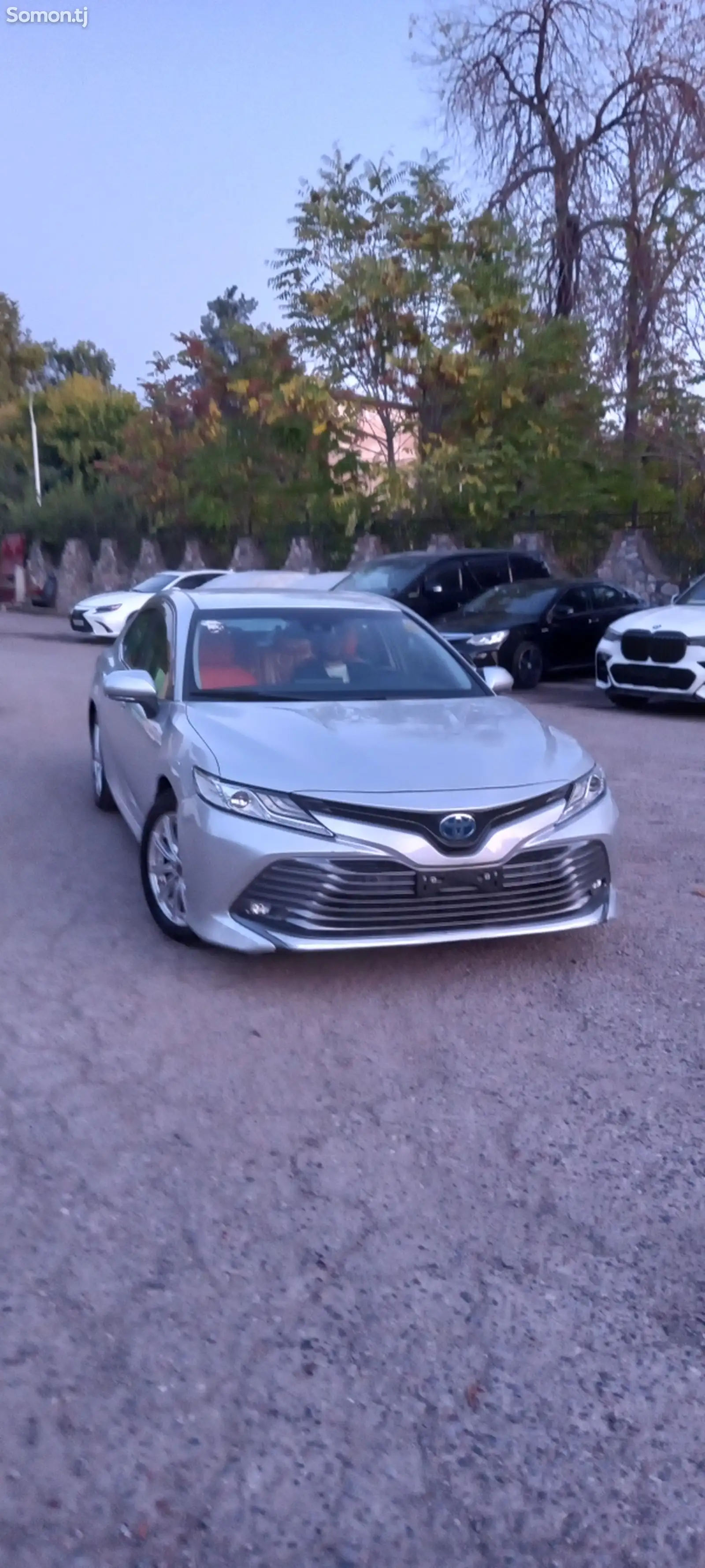 Toyota Camry, 2019-1