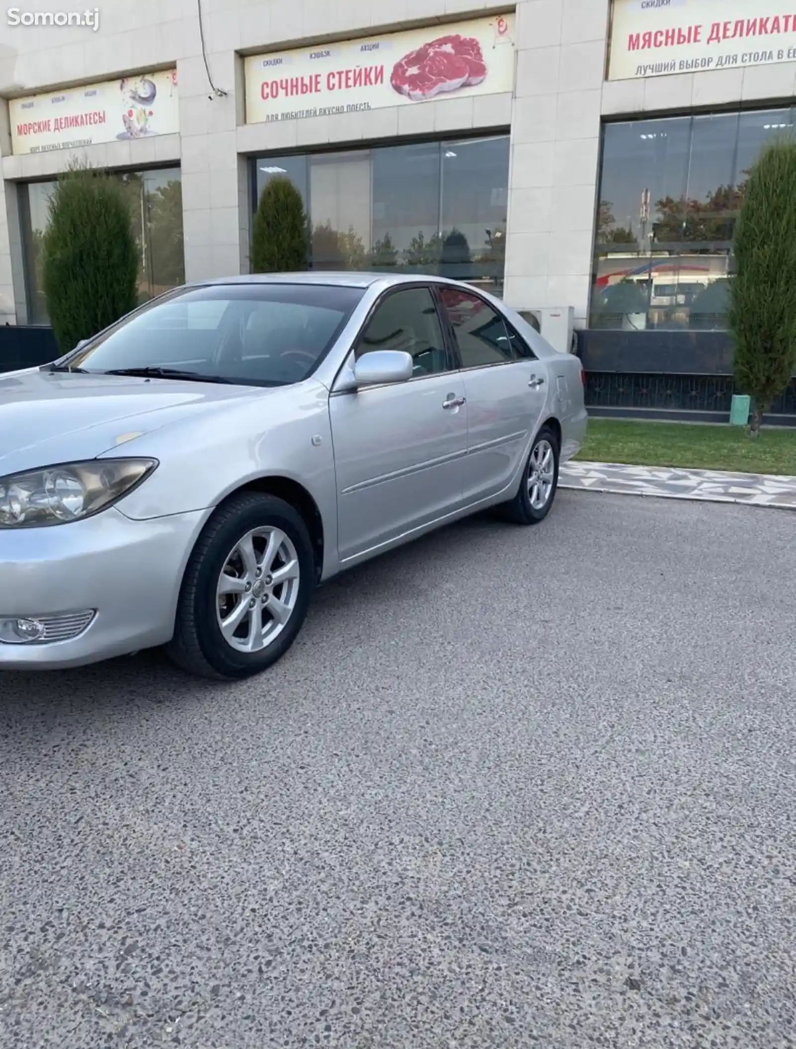 Toyota Camry, 2006-5