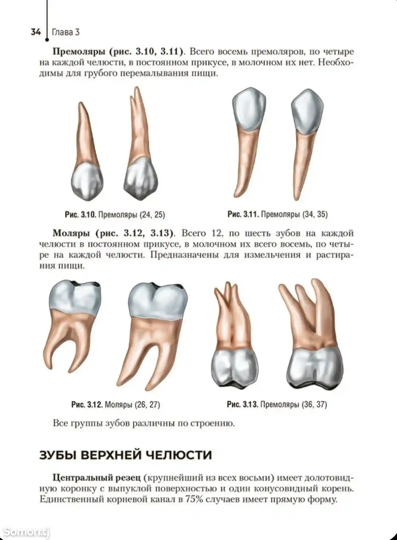 Книга Гигиена полости рта на заказ-10