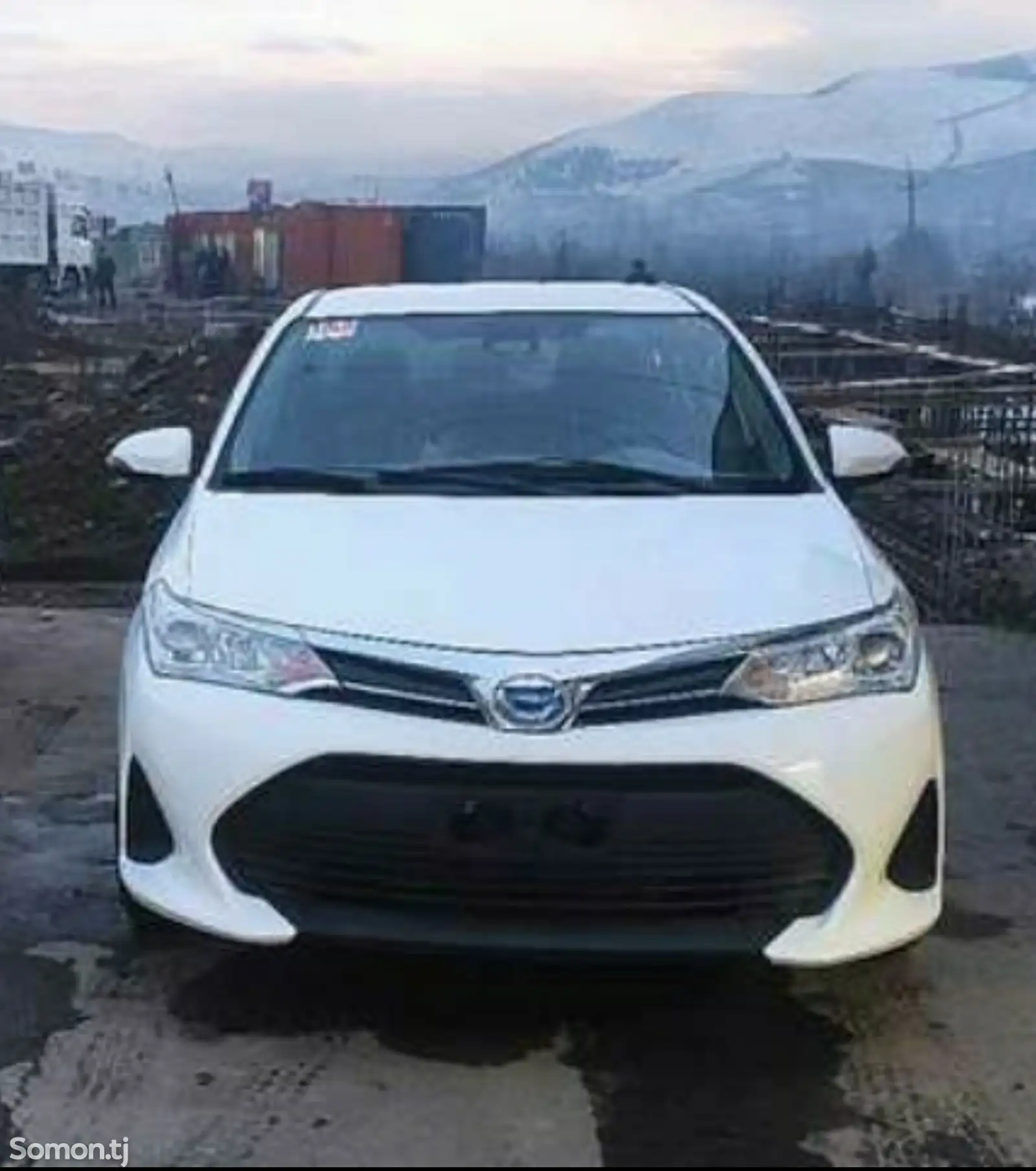 Toyota Axio, 2017-1