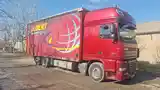 Бортовой грузовик DAF XF 460, 2008-8