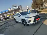 Lexus RX series, 2019-5