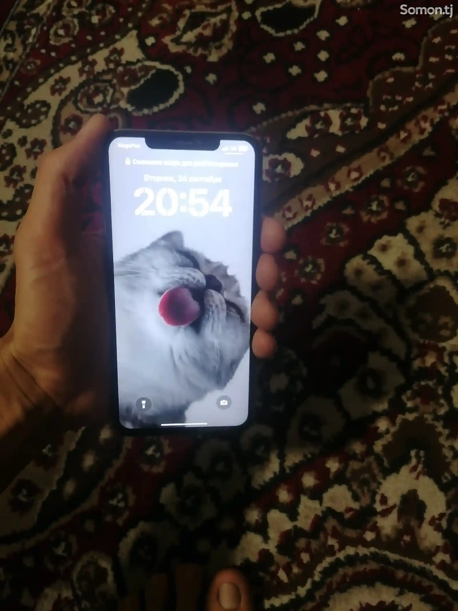 Apple iPhone Xs Max, 256 gb, Gold-3