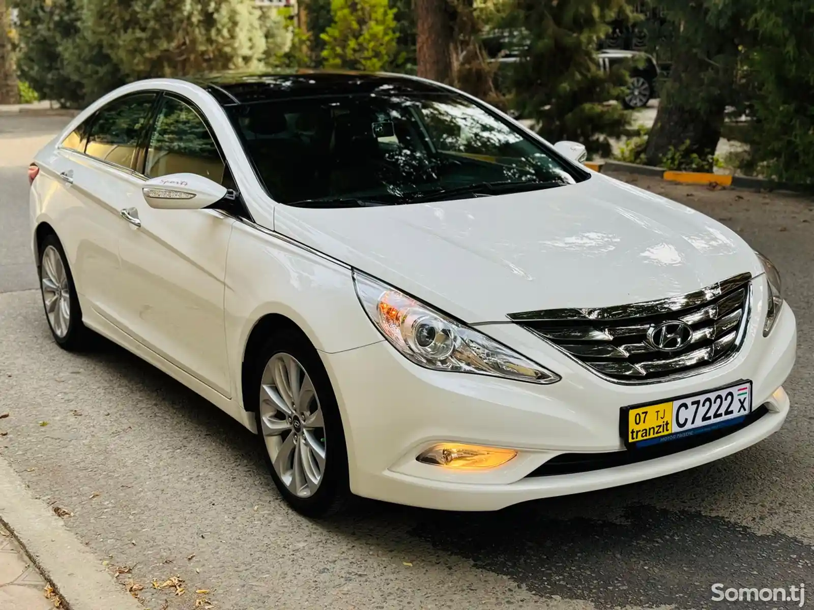 Hyundai Sonata, 2010-1