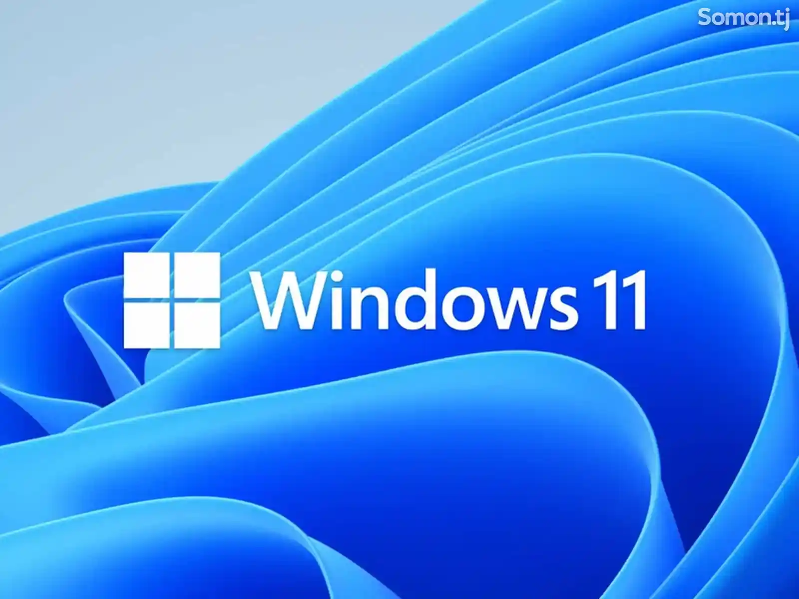 Установка Windows 10-11-1