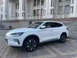 BYD Song Plus Flagship, 2024-6