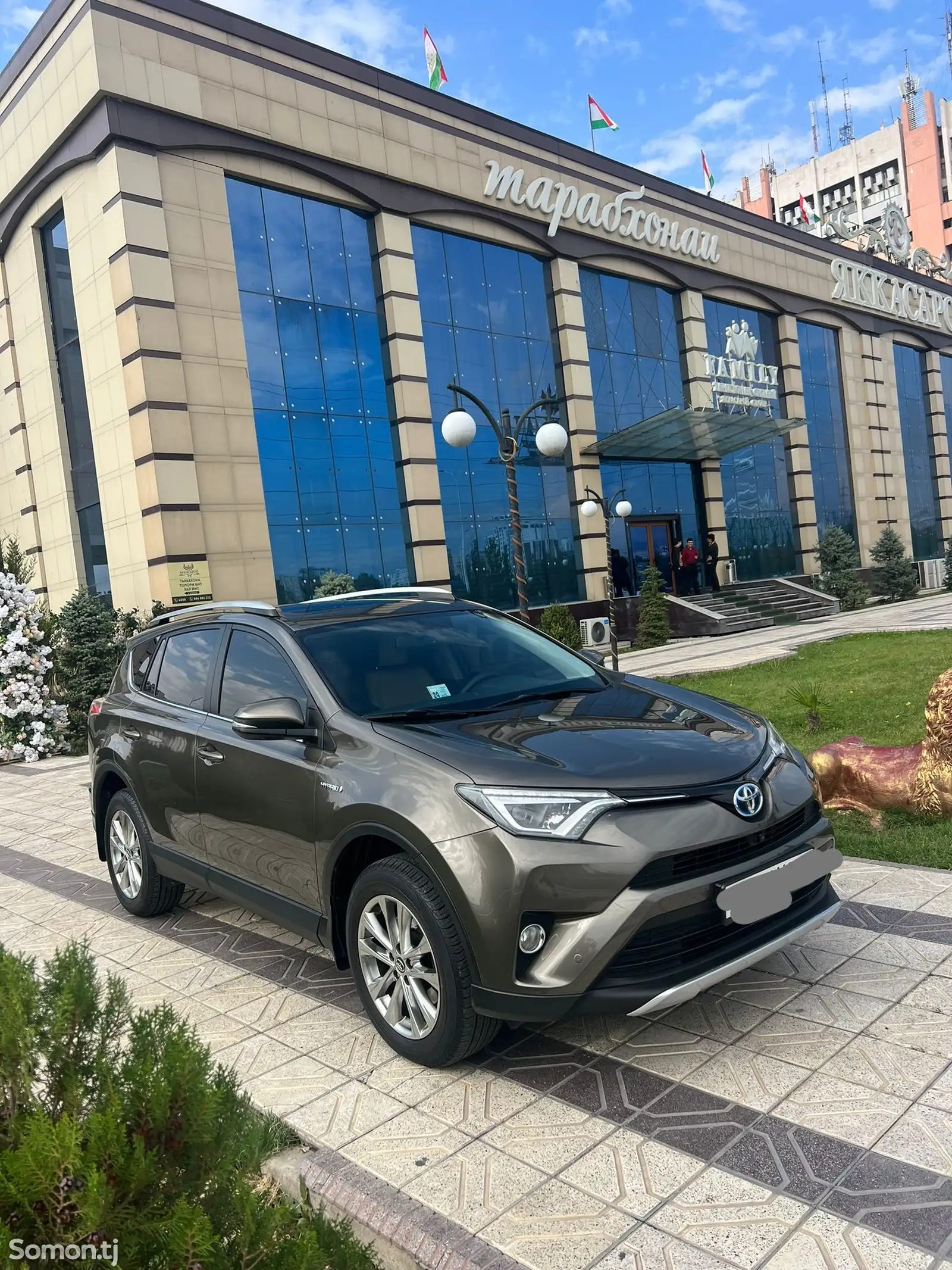 Toyota RAV 4, 2018-7