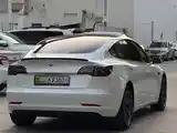 Tesla Model 3, 2020-5